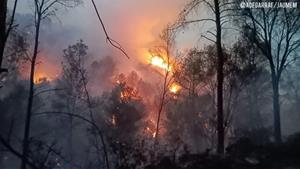 Un foc forestal crema des de divendres a la nit a Sant Pere de Ribes