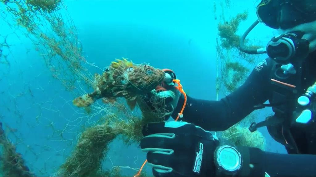 Un total de 90 espècies pateixen els efectes dels arts de pesca perduts al mar. Generalitat de Catalunya