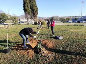 Una vintena de voluntaris i familiars comencen a plantar el Bosc de la Memòria de la deportació 