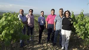 Unió de Pagesos, Joves Agricultors i Viticultors del Penedès presenten una candidatura conjunta al Consell Regulador del Cava. EIX