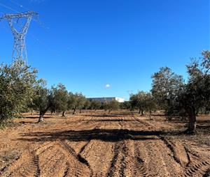 Unió de Pagesos s'oposa a la requalificació de 84 hectàrees a la Bisbal del Penedès per fer-hi un nou polígon. Unió de Pagesos