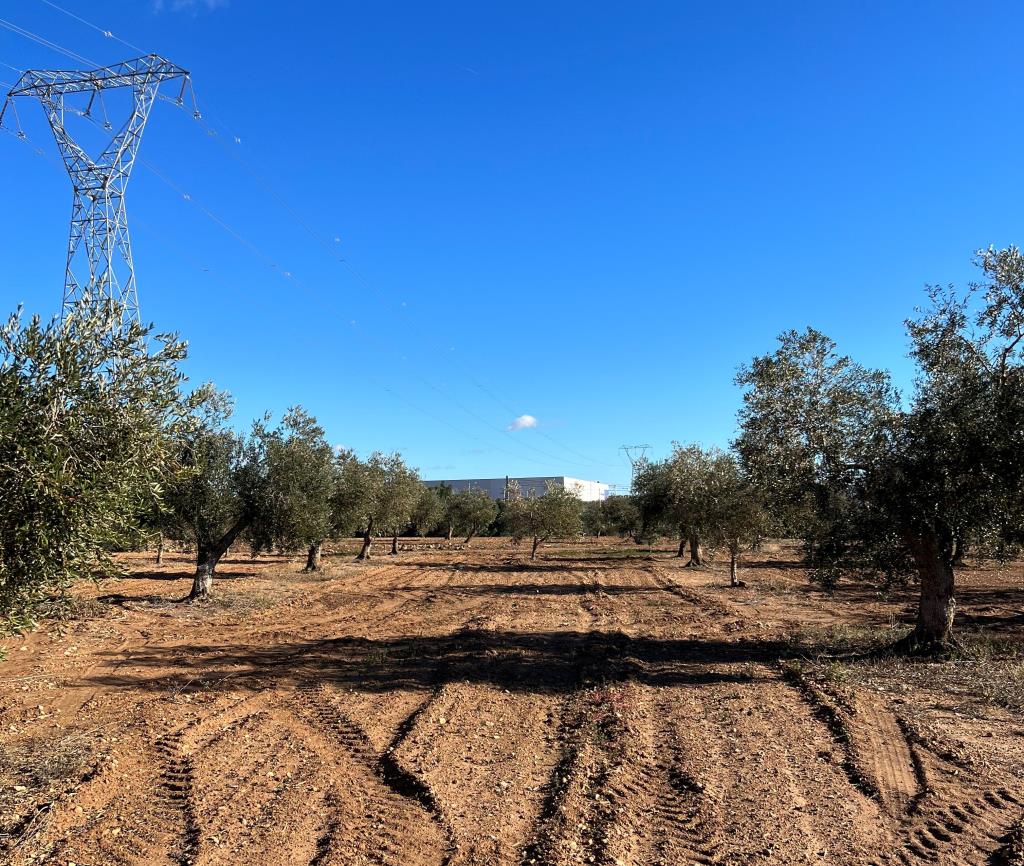 Unió de Pagesos s'oposa a la requalificació de 84 hectàrees a la Bisbal del Penedès per fer-hi un nou polígon. Unió de Pagesos