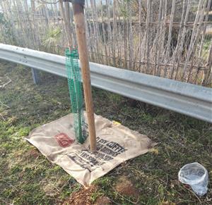 Vilafranca del Penedès posa en marxa una prova pilot de reutilització de sacs de cafè. Ajuntament de Vilafranca