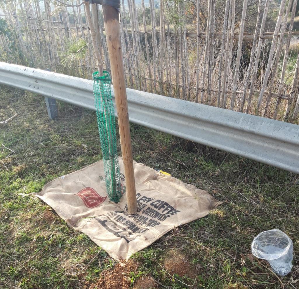 Vilafranca del Penedès posa en marxa una prova pilot de reutilització de sacs de cafè. Ajuntament de Vilafranca