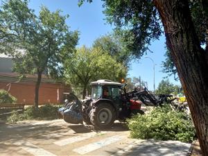 Vilafranca intenta refer-se de l'esclafit que ha causat múltiples danys materials