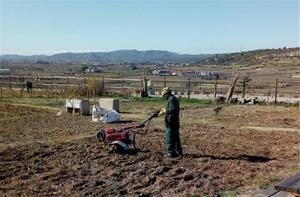 Vilafranca obre la convocatòria per optar a una parcel·la dels horts urbans situats a l’Espirall . Ajuntament de Vilafranca