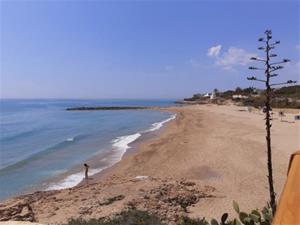 Vilanova comença el condicionament de la platja de Ribes Roges per a la protecció del corriol camanegre