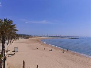 Vilanova comença el condicionament de la platja de Ribes Roges per a la protecció del corriol camanegre