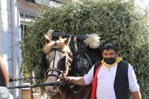 Vilanova reivindica la seva passió pel cavall amb un retorn lluït dels Tres Tombs