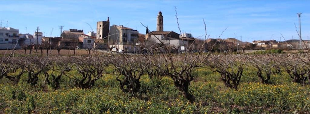 Vinyes i l'església de Santa Maria de la Bisbal del Penedès. Turismebaixpendes.cat