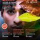 3a+edici%c3%b3+d%e2%80%99IMPACTE!+Festival+de+Cinema+i+Drets+Humans+de+Catalunya