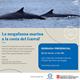 Associaci%c3%b3+Cet%c3%a0cea+-+Novetats+2023+i+Xerrada+Presencial+Gratu%c3%afta