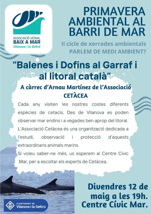 Balenes i dofins al Garraf i al litoral català