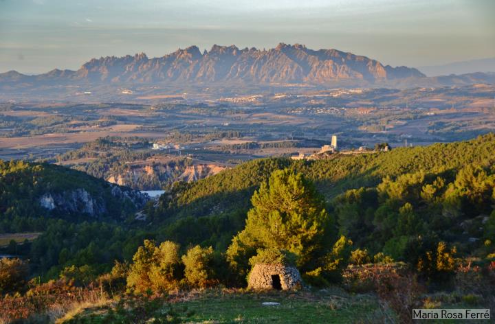 Caminada popular Aplec del Pa i l’Empenta