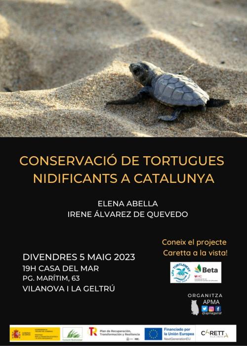 Conservació de tortugues marines nidificants a Catalunya