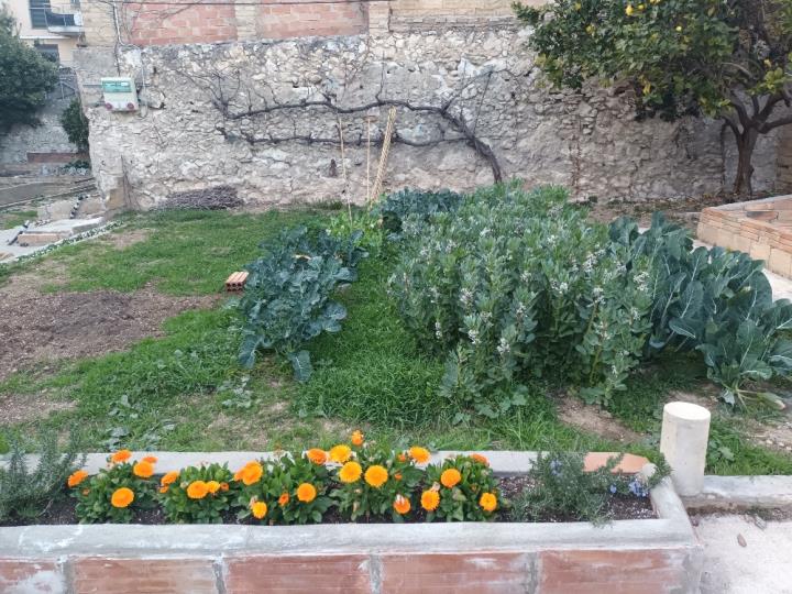 Curs d’Horticultura Ecològica