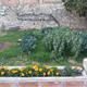 Curs+d%e2%80%99Horticultura+Ecol%c3%b2gica