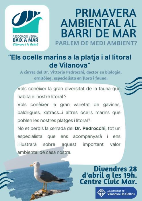 Els ocells marins a la platja i al litoral del Vilanova