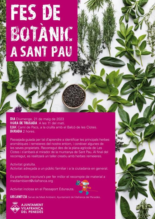 Fes de botànic a Sant Pau