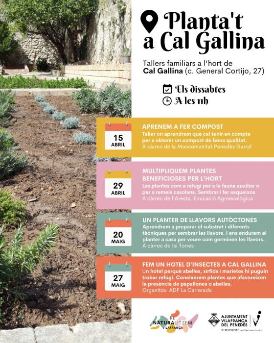 Planta’t a Cal Gallina