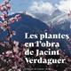 Presentaci%c3%b3+de+%27Les+plantes+en+l%e2%80%99obra+de+Jacint+Verdaguer%27