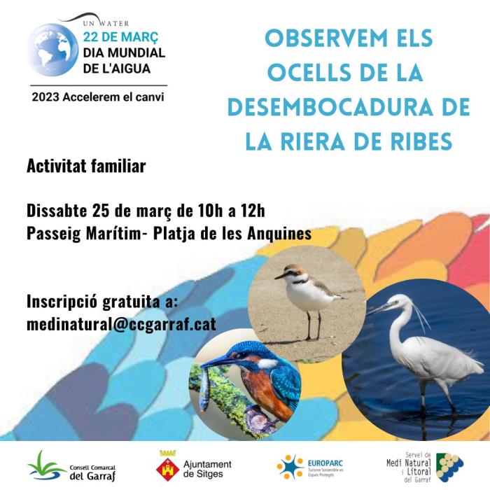 Taller familiar d’observació d’ocells a la riera de Ribes