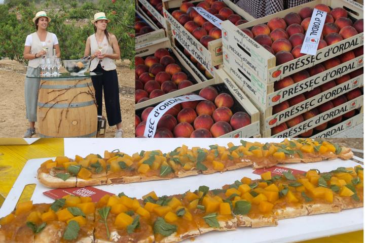 Tasta la Gastroteca: Traiem suc al Préssec d'Ordal