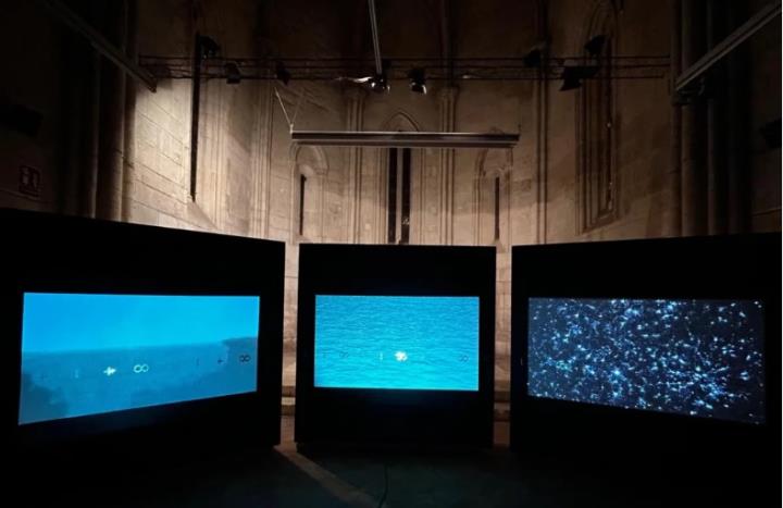 Visita comentada a l’exposició ‘Cogitare, somniare, reflectere’ de l’artista Jordi Tolosa