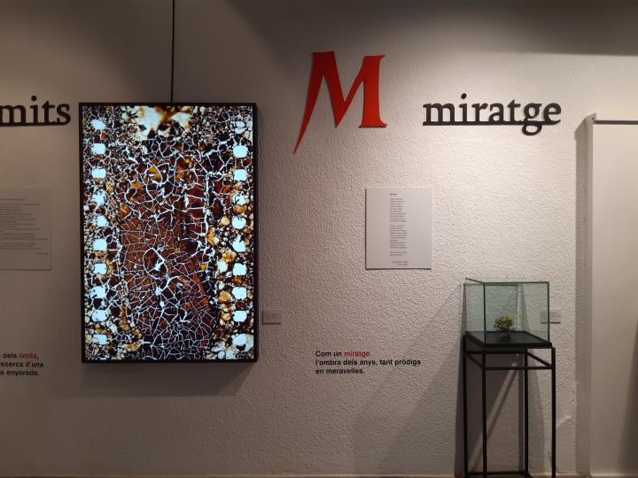 Visites comentades a les exposicions de la  Capella de Sant Joan i de la Sala dels Trinitaris