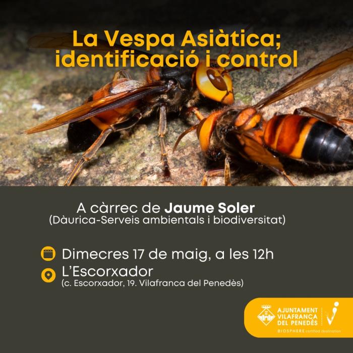 Xerrada sobre la vespa asiàtica 