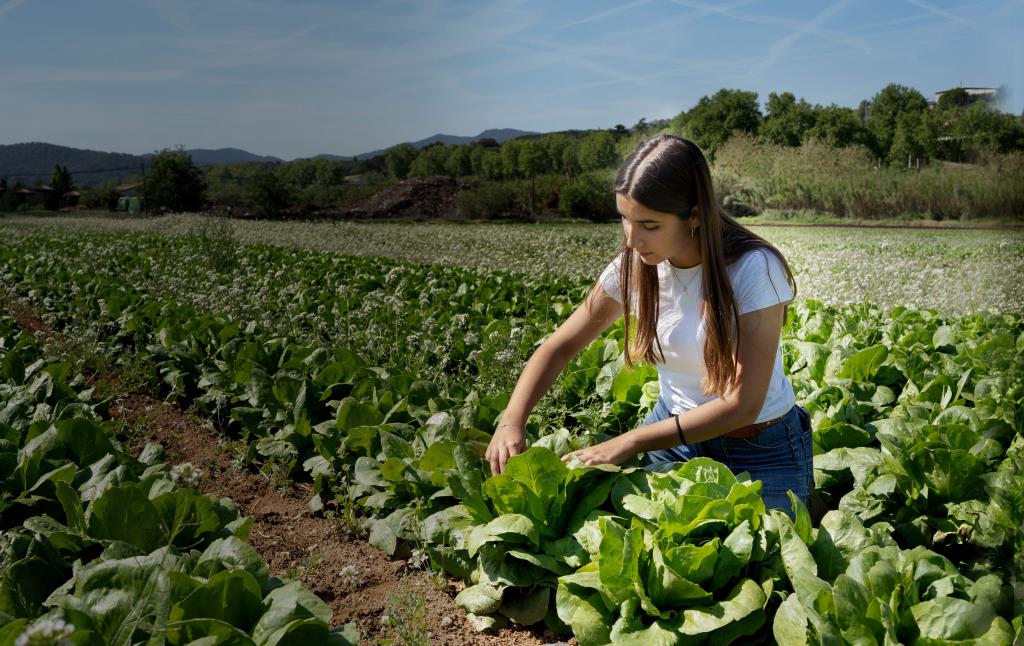 Ametller Origen cuida la terra i ho fa des del respecte pel medi ambient a través de tècniques i procediments amb un mínim impacte mediambiental. 