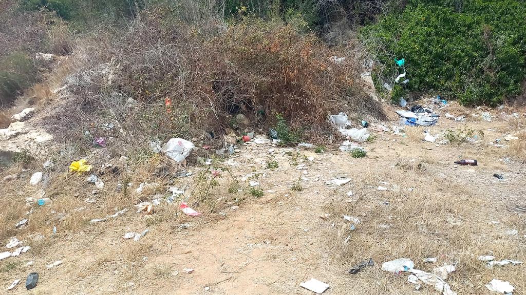 Brutícia en la zona del Botafoc, El Vendrell. Eix