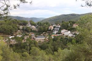 Canyelles farà canvis normatius per frenar la creació de cases turístiques després que s’hagin quadruplicat en tres anys. ACN