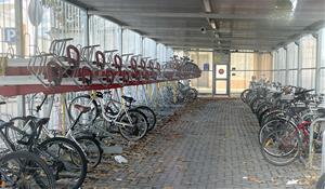 Ciclo Estació. Eix