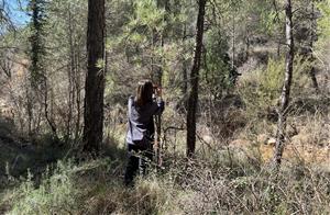 Científics investiguen si la gestió forestal pot afavorir que arribi més aigua als rius