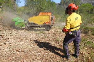 Comencen els treballs de desbrossament per rebaixar el risc de propagació en cas d'incendi al massís del Garraf. ACN