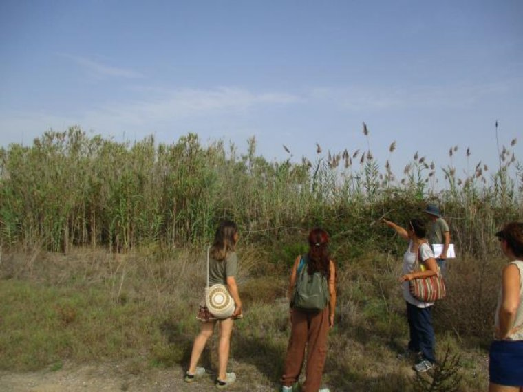 Comencen les obres de restauració de l'espai protegit de la Platja Llarga . Ajuntament de Vilanova