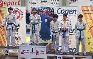 Copa de Espanya infantil de judo a Tortosa