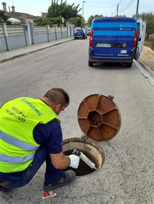 Cubelles reforça el tractament de paneroles a les zones amb major afectació. Ajuntament de Cubelles