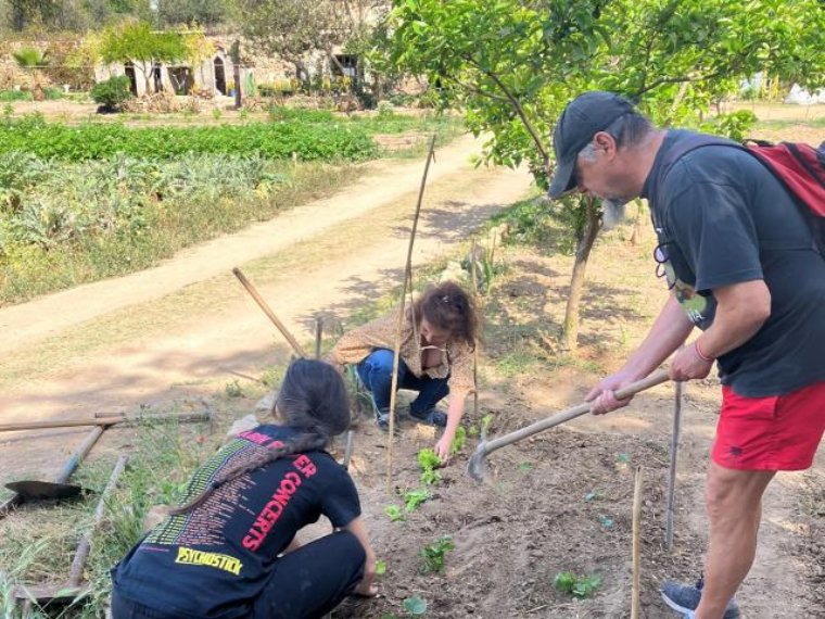 Curs d'horticultura bàsica dins el projecte Planta't, impulsat per l'IMET al barri del Nucli Antic. Ajuntament de Vilanova