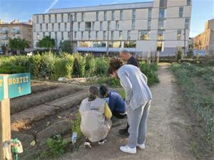 Curs d'horticultura bàsica dins el projecte Planta't, impulsat per l'IMET al barri del Nucli Antic