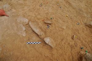 Demostren que el jaciment de la Balma de la Griera de Calafell va ser ocupat durant més de 100.000 anys pels neandertals