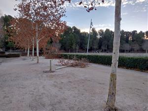 Denuncien la tala de 17 arbres al parc de Valldaura d'Igualada en un acte vandàlic