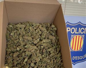 Desarticulen al Vendrell un grup criminal dedicat al cultiu interior de marihuana. Mossos d'Esquadra