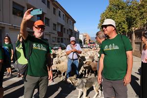 El Baix Penedès senyalitza tretze camins ramaders mil·lenaris com a nou reclam turístic. ACN