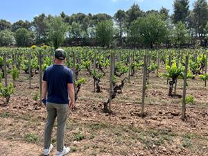 El bateria de Coldplay visita les caves i les vinyes de Raventós i Blanc a Sant Sadurní