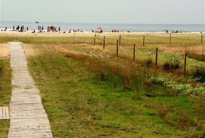 El govern de Vilanova defensa les tasques de neteja de Ribes Roges han respectat la zona de nidificació del corriol. Ajuntament de Vilanova