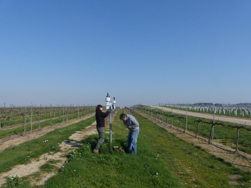 El primer projecte, anomenat Hidrovinya, s’ha realitzat al Penedès amb cellers i Agrupacions de Defensa Vegetal del sector. Generalitat de Catalunya