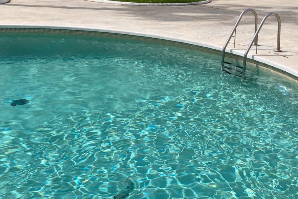 El Vendrell redueix la profunditat de les noves piscines d’ús particular. ACN