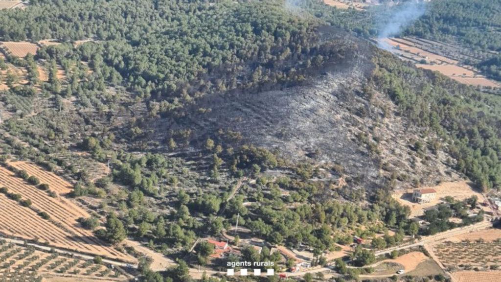 Els Agents Rurals desactiven aquest divendres el nivell 2 del Pla Alfa pel descens del perill d'incendi. ACN